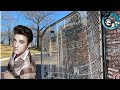 The Gates of GRACELAND | Memphis, TN | Elvis Presley History & Vernon Presleys House!