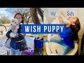 Make-A-Wish Marley