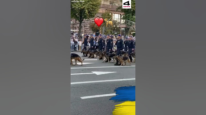 Парад військових собак 🔥 #shorts