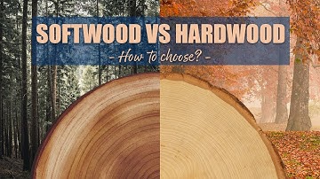 Softwood vs Hardwood - How to choose for WOODWORKING projects!