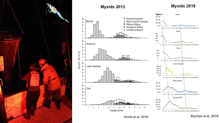 Lower food web monitoring in Lake Ontario