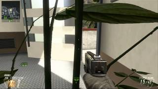 Singles vs. llDingleberryll map 2 rules wrong