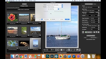Qimage One Color Management