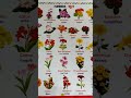 #FLOWERS NAME#