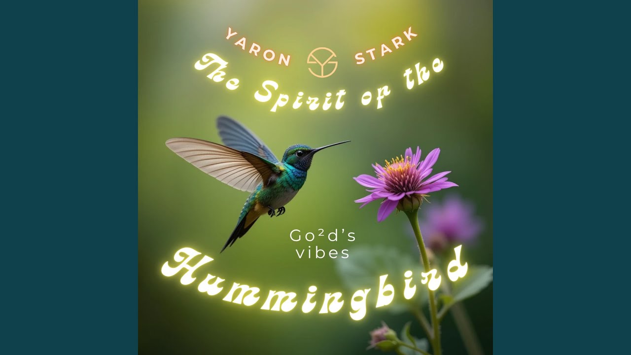 Hummingbird's dreams