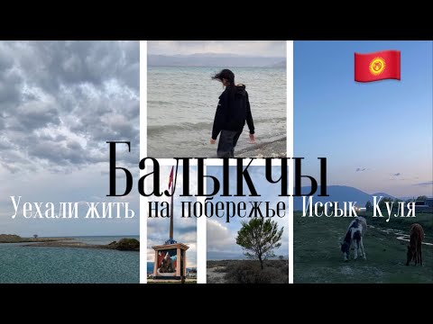 Уехали жить на побережье Иссык-Куля. Город Балыкчы Кыргызстан.