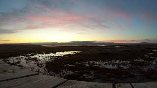 Quiet Wetland Soundscape with Mountain View
