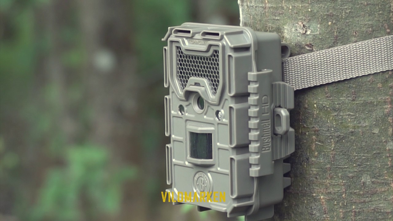 Bushnell Trophy Cam HD  Aggressor 14MP