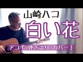 山崎ハコ / 白い花  アコギ弾き語りカバー! 当時、10代だったハコさんが書いた曲!