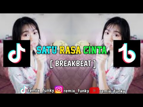 BreakBeat Satu Rasa Cinta❗❗From DJ PAVITA || Cover By Remix _Fvnky ||TiktokViral2022🎵🎧