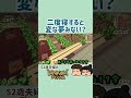 【Dinkum】中身のない話【52歳夫婦の島開拓】