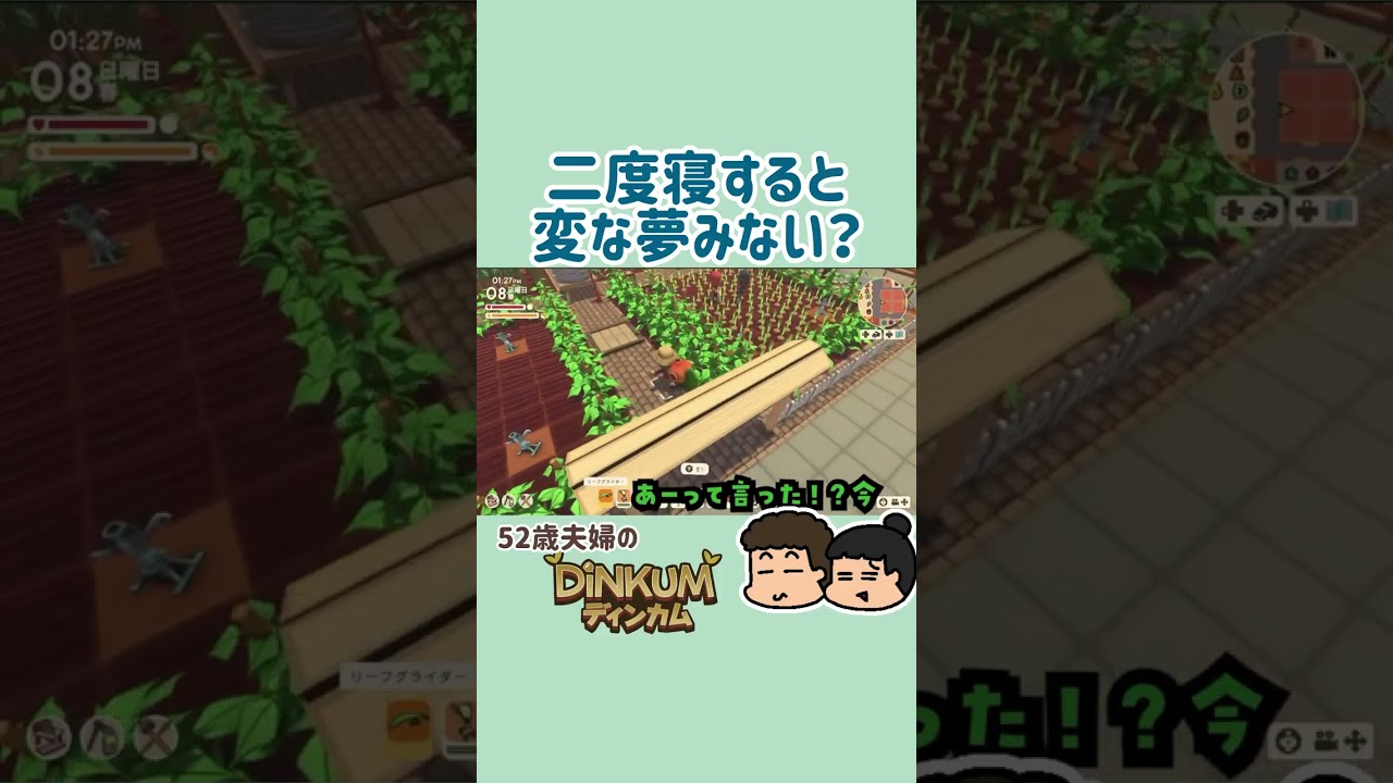 【Dinkum】中身のない話【52歳夫婦の島開拓】