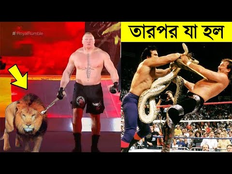 ভিডিও: ব্রিটিশ সুপারবাইক 2012: শেন বাইর্নের জন্য ত্রিশূল এবং মুকুট