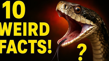 10 Weird Snake Facts You Didn’t Know 🐍