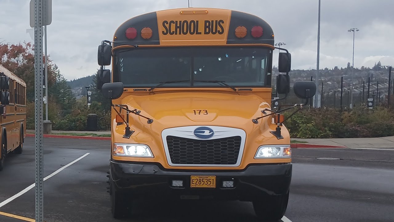 School Bus Ride-A-Longs | 