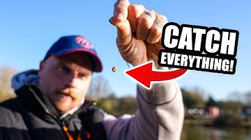 CATCH EVERYTHING, Soft Pellet TUTORIAL
