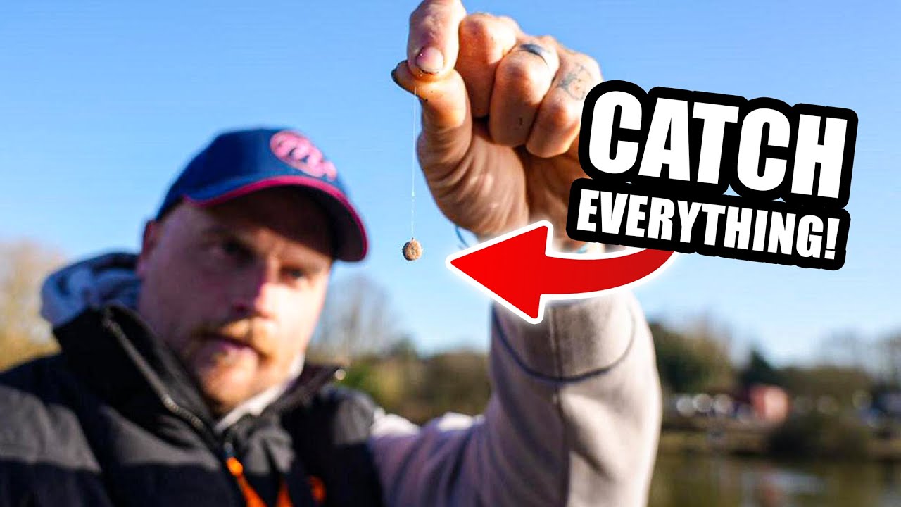 CATCH EVERYTHING, Soft Pellet TUTORIAL