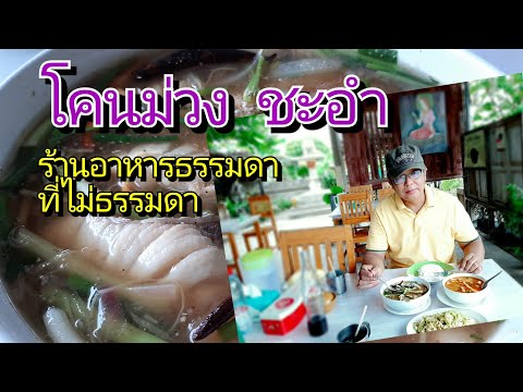 โคนม่วง ชะอำ ร้านอาหารธรรมดาที่ไม่ธรรมดา