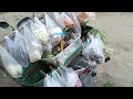 Mobile Street Vendor Selling Fresh Vegetables and Daily Snacks