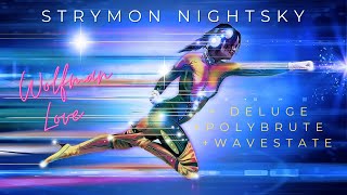 Space Time Continous - Strymon Nightsky + Deluge + Polybrute + Wavestate