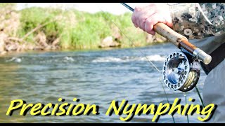 Precision Nymph Fishing