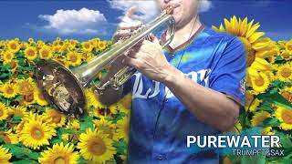 ひまわりみたいなサザエさん 歌詞 松尾香 ふりがな付 歌詞検索サイト Utaten