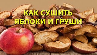 Как сушить яблоки и груши. В деле сушилка Мастерица