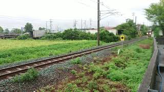 汽笛一発!8600系 特急しおかぜ