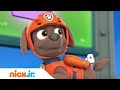 La Patrulla de Cachorros baila el Guau Guau Boogie | Nick Jr. en Español