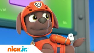 La Patrulla de Cachorros baila el Guau Guau Boogie | Nick Jr. en Español screenshot 2