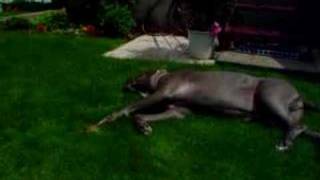 Tara TheThroat,  earth.mp3.net(, 2007-07-14T12:05:19.000Z)