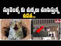 స్టూడెంట్స్ కు చుక్కలు చూపిస్తున్న ఉడత.. | Jordar News | hmtv