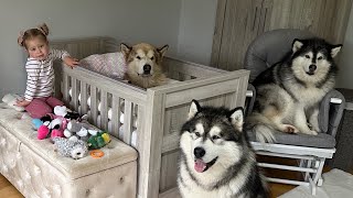 Adorable Baby Girls Puts Her Dog To Bed Even Reads Him A Story! (Cutest Ever!!)