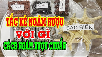 Cách ngâm rượu tắc kè - Tắc kè có tác dụng gì - Tắc kè ngâm rượu