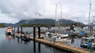 Tofino walking tour