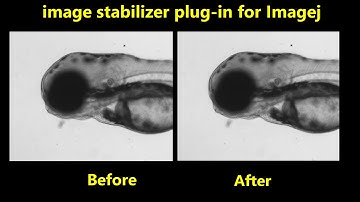 Use ImageJ plugin to stabilize images