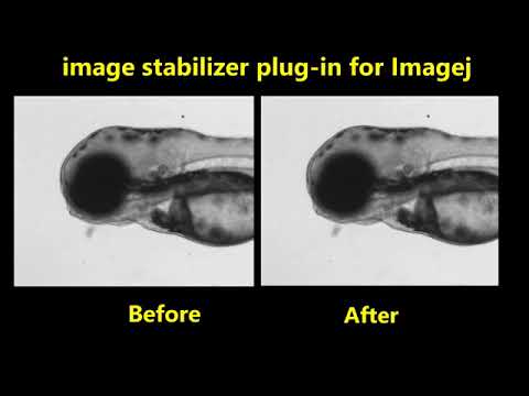 Use ImageJ plugin to stabilize images