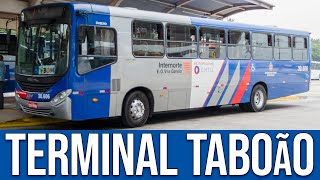 Terminal Metropolitano Taboão Guarulhossp - Movimentação De Ônibus