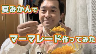 【夏みかん】マーマレードを作ったら夜になりました