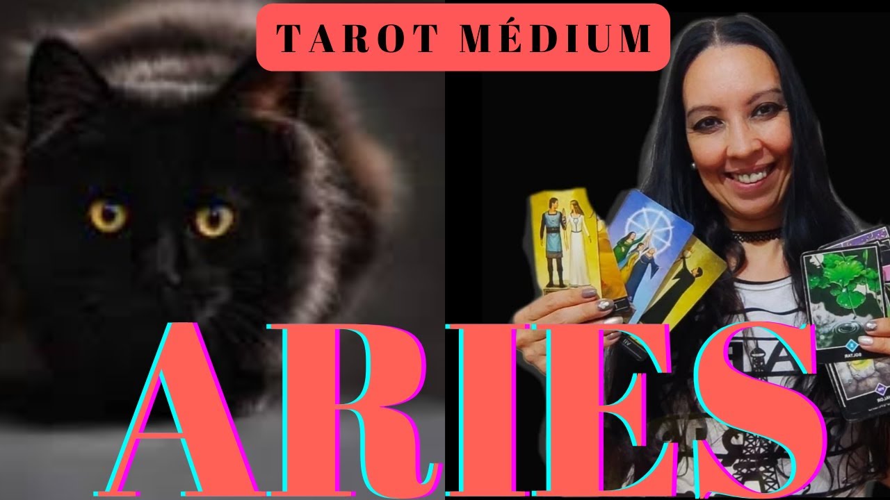 ARIES S aries-s