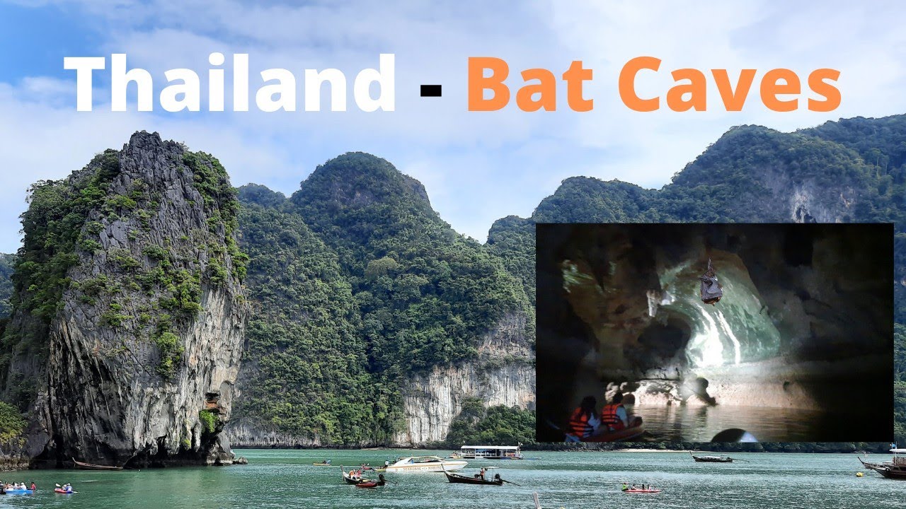 Thailand Bat Caves Canoeing Panak Island Phang Nga Bay Phuket YouTube
