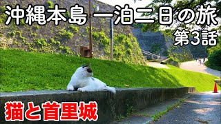 【沖縄旅行】沖縄本島 一泊二日の旅 第3話 〜猫と首里城〜 （キャット師匠初登場回）【首里城公園・首里駅】