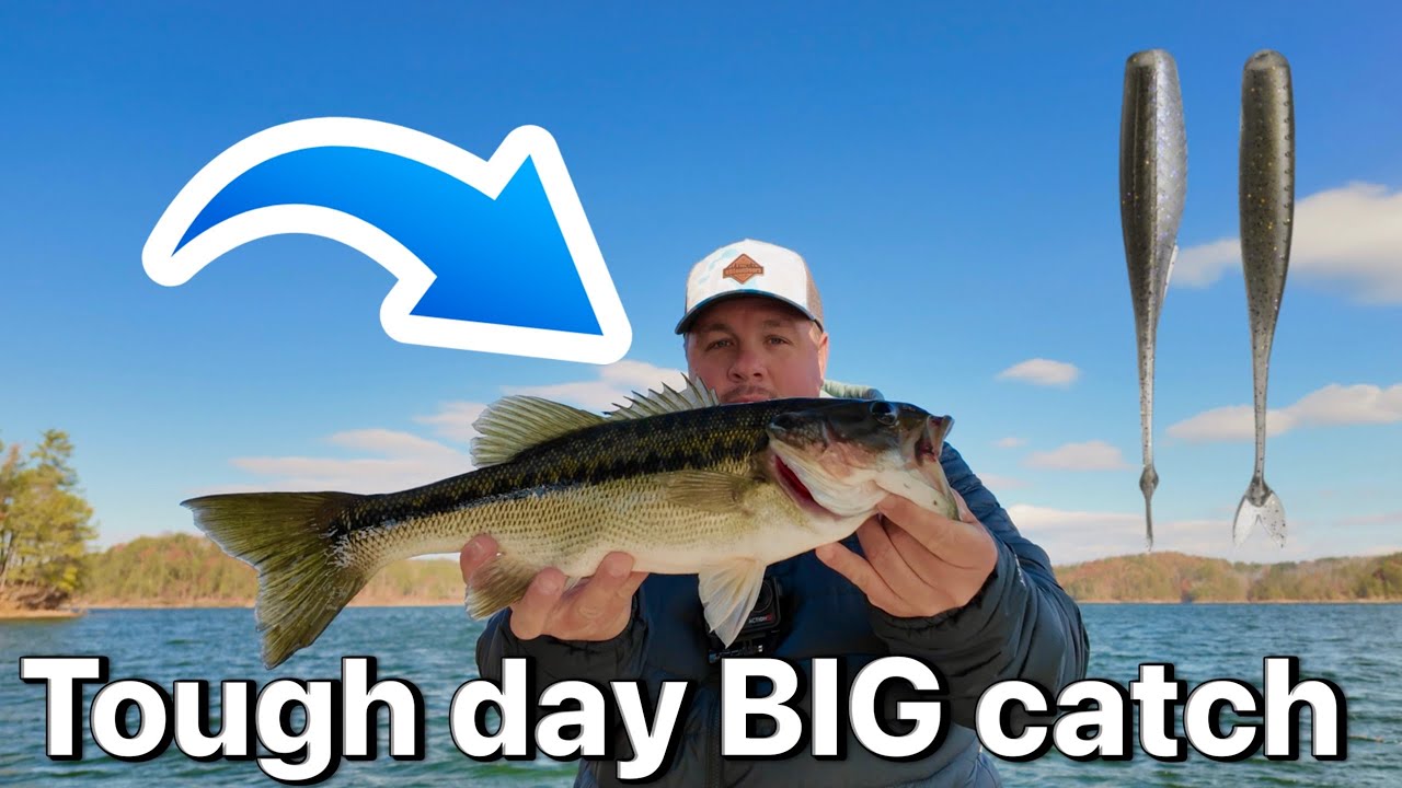 Windy Waters, BIG Bass: A Surprise Catch at an Unfamiliar Lake
