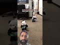 #funny #panda #memes