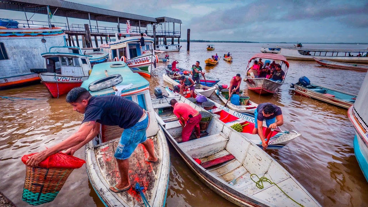 Porto do Açaí: O Ouro Paraense no coração do Jurunas | Belém-Pará, Brazil ブラジル