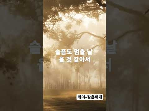 테이-같은배개