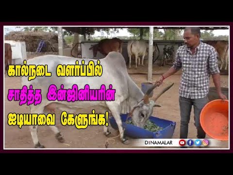 கால்நடை வளர்ப்பில் சாதித்த இன்ஜினியரின் ஐடியாவை கேளுங்க!