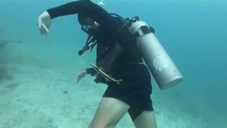 Belize Scuba Diving - Silk Caye and Gladden Spit - Feb 2018