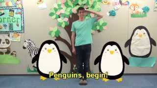 Penguins Attention! - Dance and Sing with GnoKids