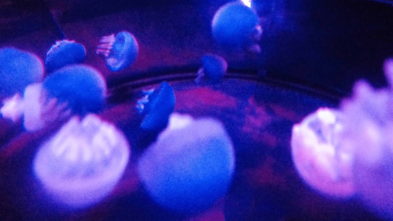 Color and Depth - RICOH GR II